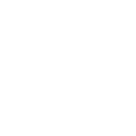Logo Megadyne